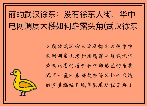 前的武汉徐东：没有徐东大街，华中电网调度大楼如何崭露头角(武汉徐东变电站)